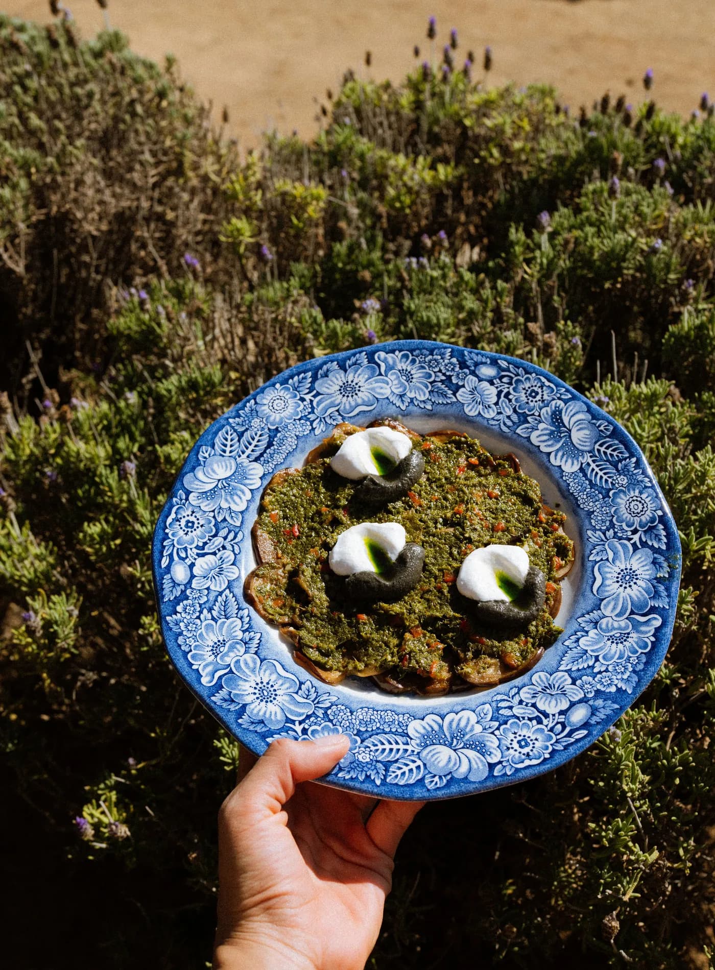 Producto de huertos y ranchos de la región servido frente al valle