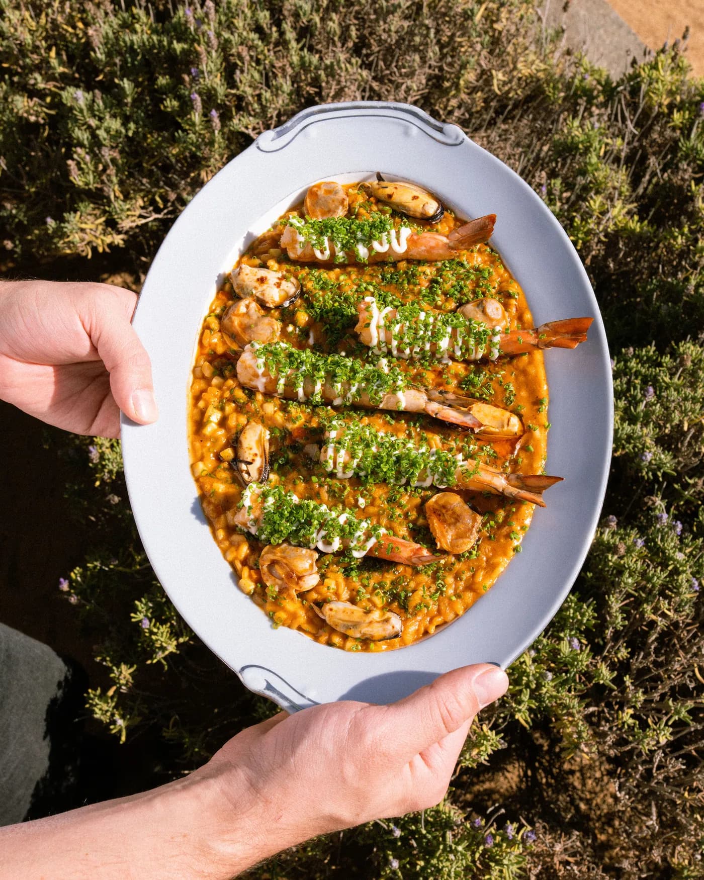 Arroz de la casa con camarón, servido frente al valle