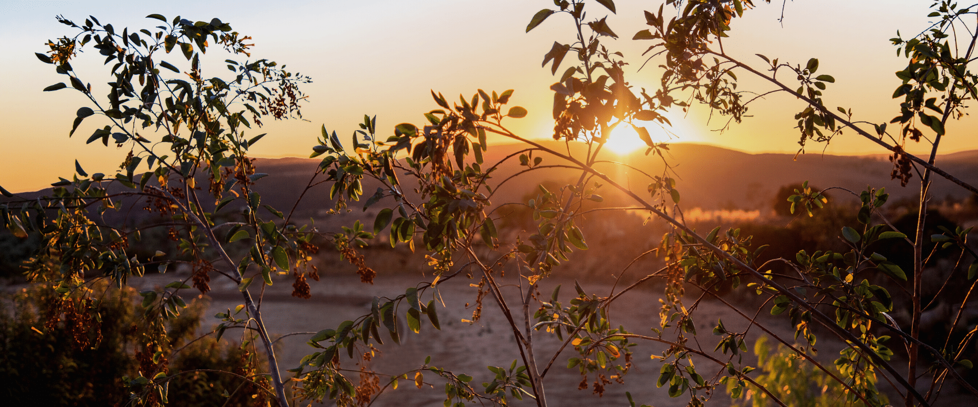 sunset en villa torel
